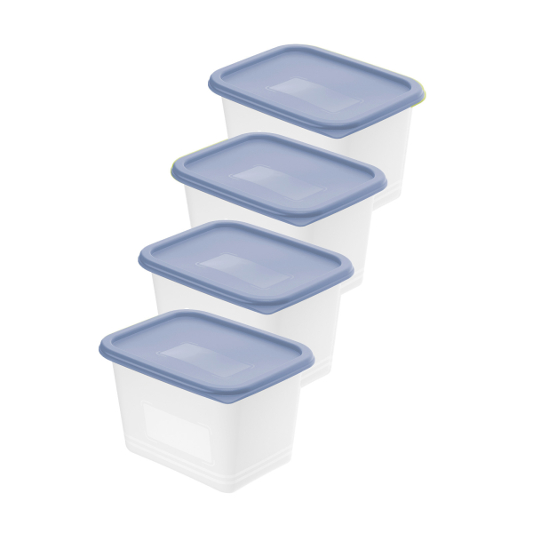 Rotho Set Gefrierdosen 4x 1.0 l DOMINO Horizon Blue